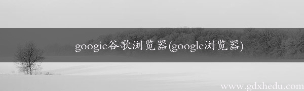 googie谷歌浏览器(google浏览器)