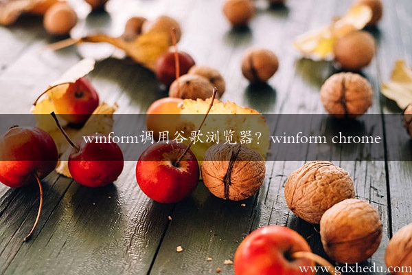 winform调用谷歌浏览器？winform chrome