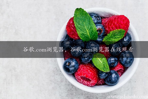 谷歌.com浏览器，谷歌com浏览器在线观看