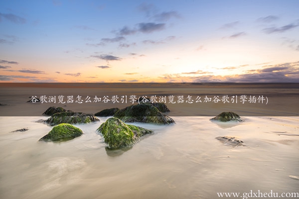 谷歌浏览器怎么加谷歌引擎(谷歌浏览器怎么加谷歌引擎插件)