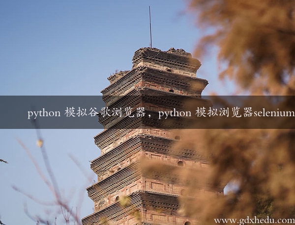 python 模拟谷歌浏览器，python 模拟浏览器selenium