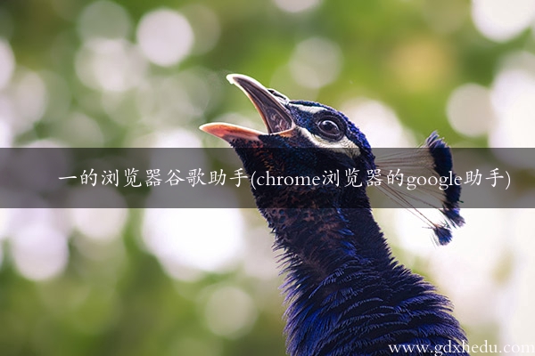 一的浏览器谷歌助手(chrome浏览器的google助手)