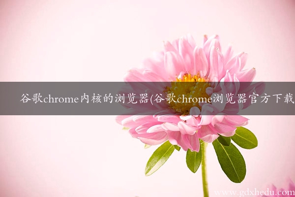 谷歌chrome内核的浏览器(谷歌chrome浏览器官方下载)