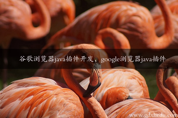 谷歌浏览器java插件开发，google浏览器java插件