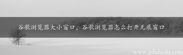 谷歌浏览器大小窗口，谷歌浏览器怎么打开无痕窗口