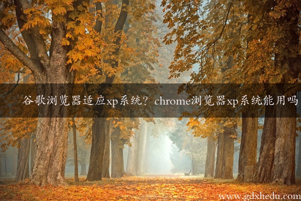 谷歌浏览器适应xp系统？chrome浏览器xp系统能用吗