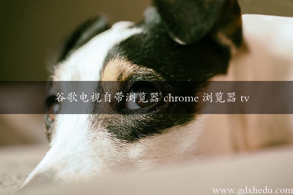 谷歌电视自带浏览器 chrome 浏览器 tv