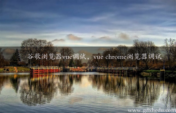 谷歌浏览器vue调试，vue chrome浏览器调试