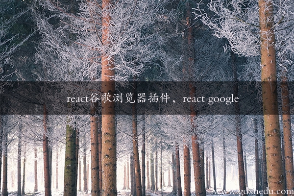 react谷歌浏览器插件，react google