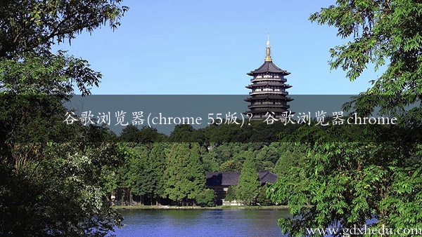 谷歌浏览器(chrome 55版)？谷歌浏览器chrome