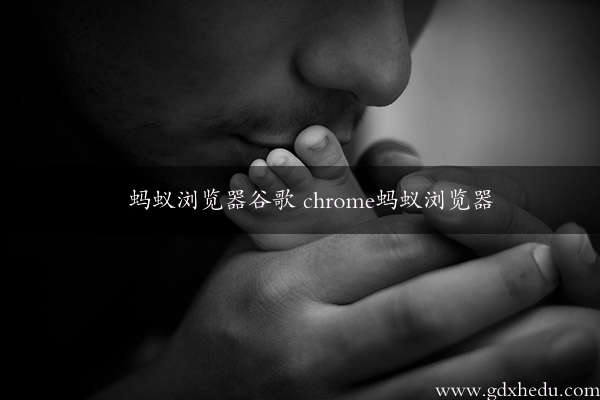 蚂蚁浏览器谷歌 chrome蚂蚁浏览器