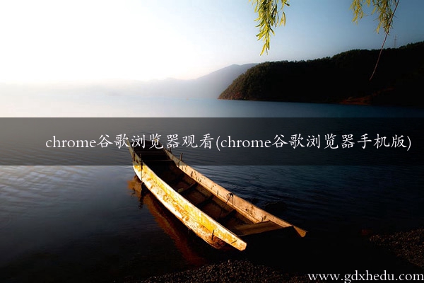 chrome谷歌浏览器观看(chrome谷歌浏览器手机版)