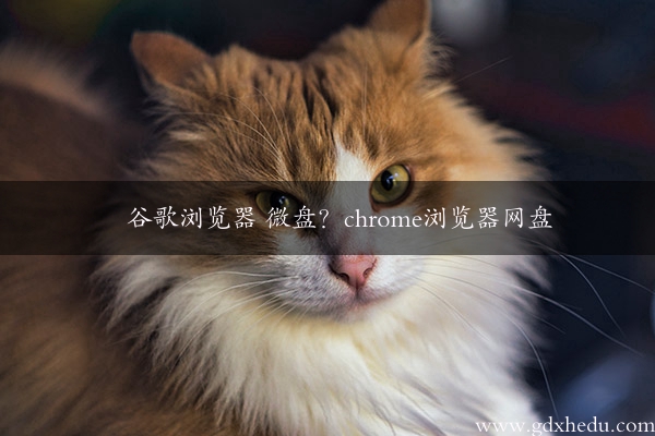 谷歌浏览器 微盘？chrome浏览器网盘