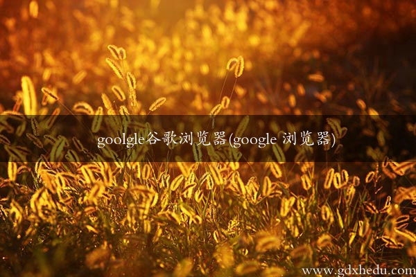 goolgle谷歌浏览器(google 浏览器)