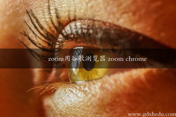 zoom用谷歌浏览器 zoom chrome