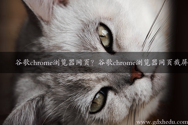 谷歌chrome浏览器网页？谷歌chrome浏览器网页截屏