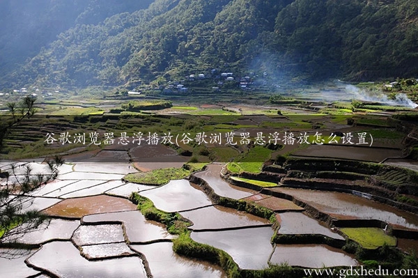 谷歌浏览器悬浮播放(谷歌浏览器悬浮播放怎么设置)