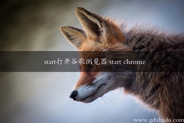 start打开谷歌浏览器 start chrome