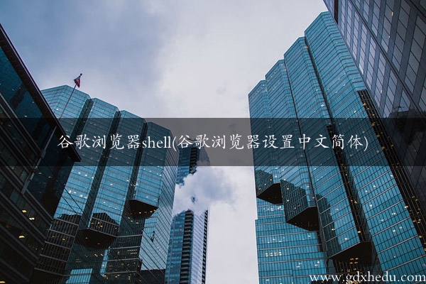 谷歌浏览器shell(谷歌浏览器设置中文简体)