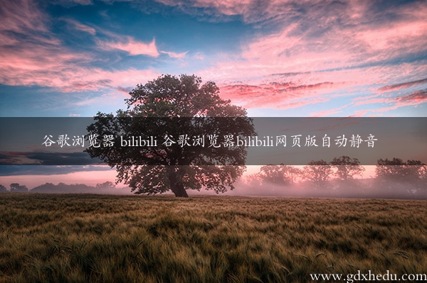 谷歌浏览器 bilibili 谷歌浏览器bilibili网页版自动静音