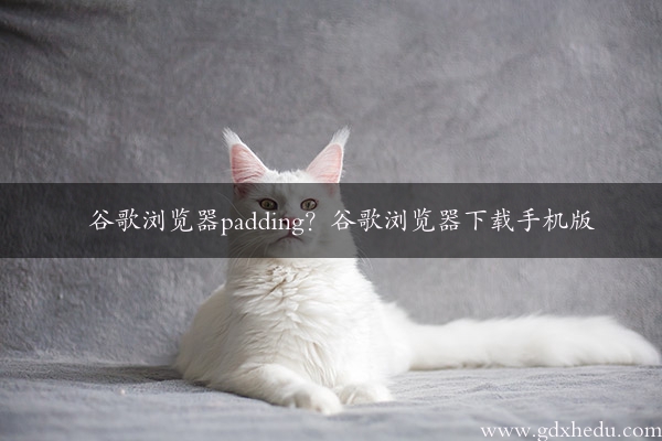 谷歌浏览器padding？谷歌浏览器下载手机版