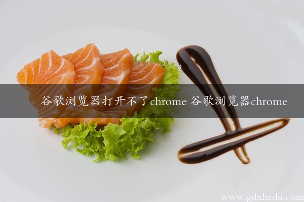 谷歌浏览器打开不了chrome 谷歌浏览器chrome