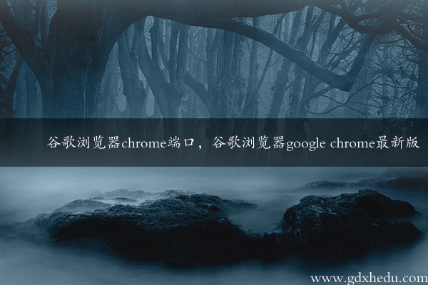 谷歌浏览器chrome端口，谷歌浏览器google chrome最新版
