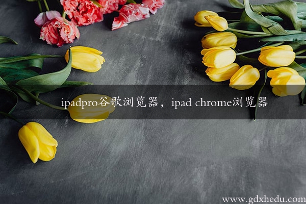 ipadpro谷歌浏览器，ipad chrome浏览器