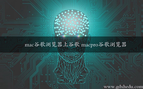 mac谷歌浏览器上谷歌 macpro谷歌浏览器