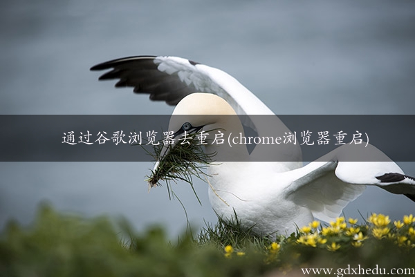 通过谷歌浏览器去重启(chrome浏览器重启)