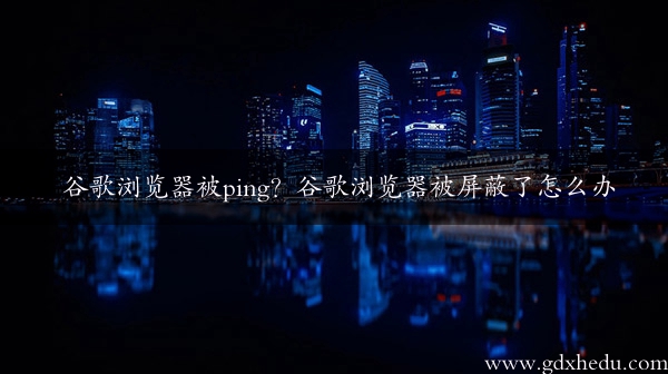 谷歌浏览器被ping？谷歌浏览器被屏蔽了怎么办