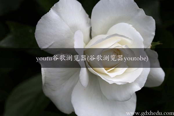 youtu谷歌浏览器(谷歌浏览器youtobe)