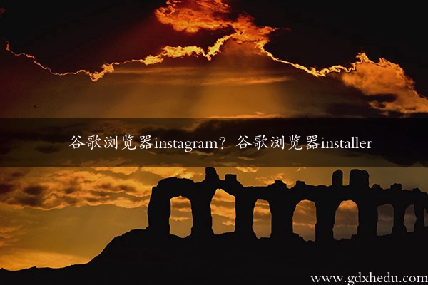 谷歌浏览器instagram？谷歌浏览器installer