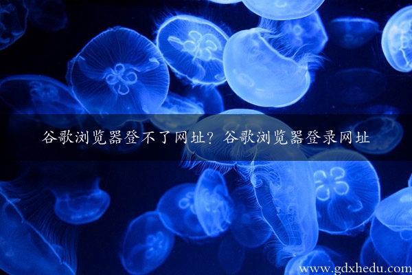 谷歌浏览器登不了网址？谷歌浏览器登录网址