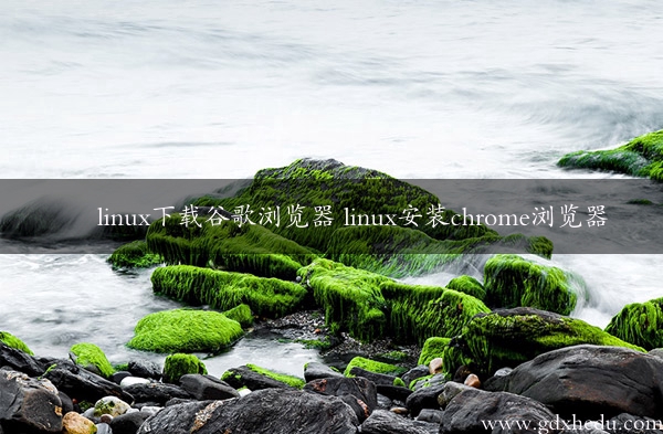 linux下载谷歌浏览器 linux安装chrome浏览器