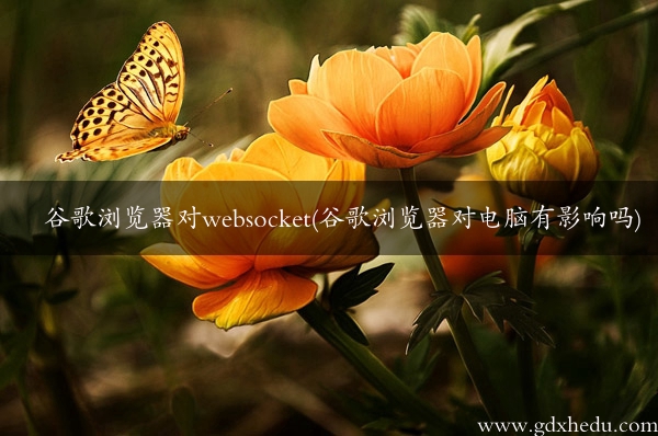 谷歌浏览器对websocket(谷歌浏览器对电脑有影响吗)