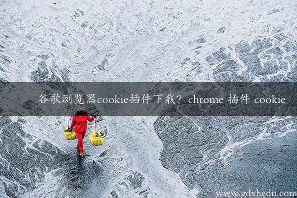 谷歌浏览器cookie插件下载？chrome 插件 cookie