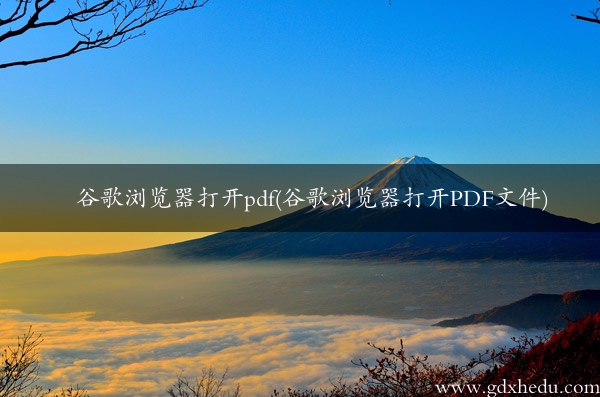 谷歌浏览器打开pdf(谷歌浏览器打开PDF文件)