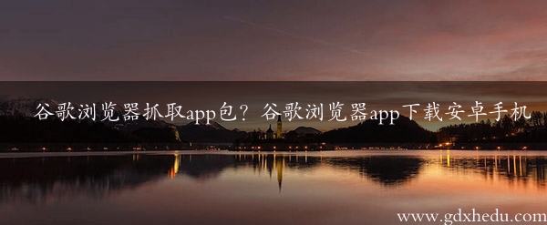 谷歌浏览器抓取app包？谷歌浏览器app下载安卓手机