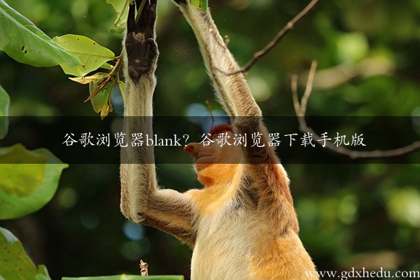 谷歌浏览器blank？谷歌浏览器下载手机版