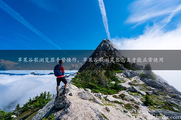 苹果谷歌浏览器手势操作，苹果谷歌浏览器怎么才能正常使用