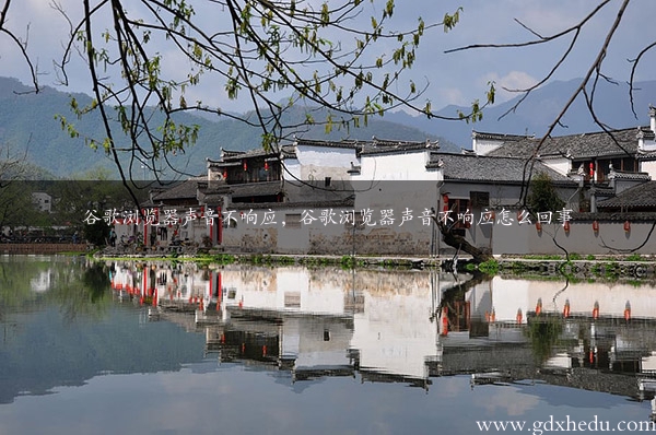 谷歌浏览器声音不响应，谷歌浏览器声音不响应怎么回事