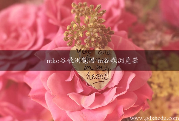 ntko谷歌浏览器 m谷歌浏览器