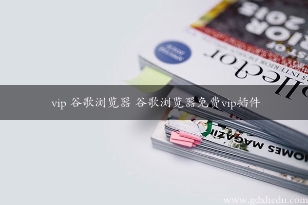 vip 谷歌浏览器 谷歌浏览器免费vip插件