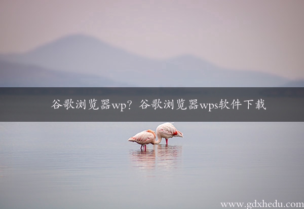 谷歌浏览器wp？谷歌浏览器wps软件下载