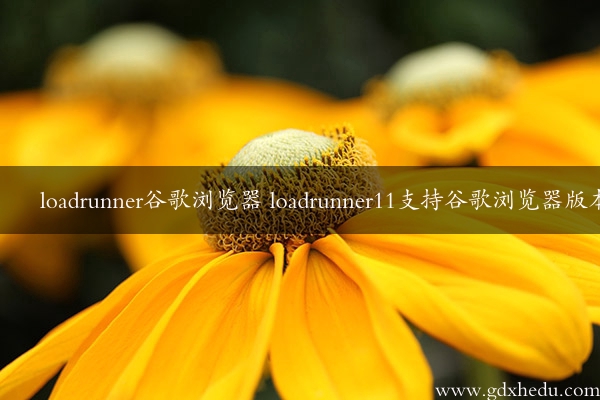 loadrunner谷歌浏览器 loadrunner11支持谷歌浏览器版本