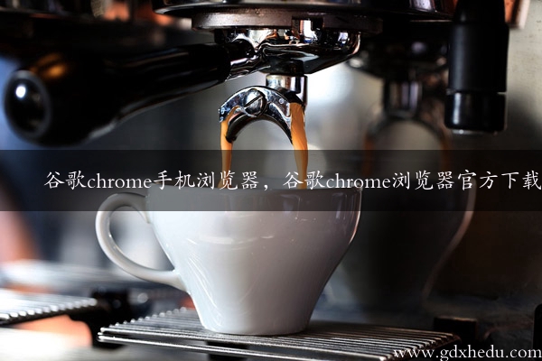 谷歌chrome手机浏览器，谷歌chrome浏览器官方下载