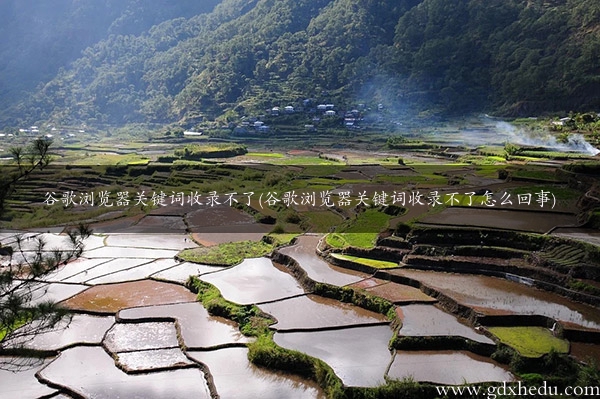 谷歌浏览器关键词收录不了(谷歌浏览器关键词收录不了怎么回事)