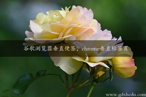 谷歌浏览器垂直便签，chrome垂直标签页