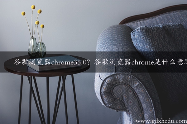 谷歌浏览器chrome35.0？谷歌浏览器chrome是什么意思